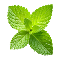 AI generated Mint Leave Isolated on Transparent Background png