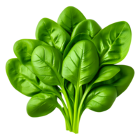 AI generated Fresh Spinach Isolated on Transparent Background png