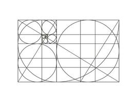 dorado proporción modelo. método dorado sección marco. fibonacci formación, números. armonía dimensiones red. contorno vector gráfico ilustración.