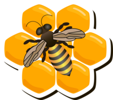 Illustration auf Thema zum Etikette von zuckerhaltig fließend Nieder Honig im Bienenwabe mit Biene png