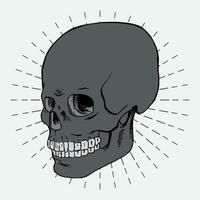 hand drawn skull illustration vector design on sunburst background