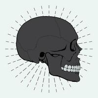 hand drawn skull illustration vector design on sunburst background