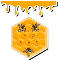 Drop of bee honey drip from hexagonal honeycombs filled with golden nectar png