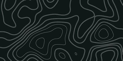 abstract pattern with lines. background of the topographic map. abstract topographic background. black, white paper cut. abstract black vector