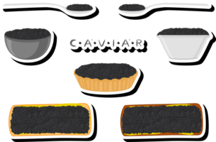 big set various types fish caviar, bread different size png