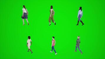 3d groen scherm zes Dames wandelen Aan de trottoir van drie in het nauw gedreven hoek video