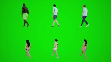 3d verde schermo sei bikini uomini e donne a piedi su il spiaggia a partire dal tre angoli video