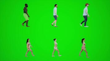 3d grön skärm sex bikini män och kvinnor gående på de strand från sida vinkel video