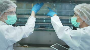 scientist worker checking the quality of water bottles on the machine conveyor line at the industrial factory. Female worker recording data at the beverages manufacturing line video