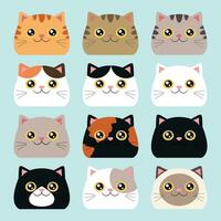 Collection of cat heads with different colors. Cats with different color patterns. Vector illustration