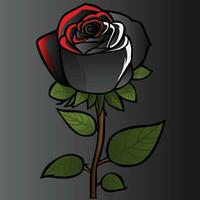 rose vector illustration