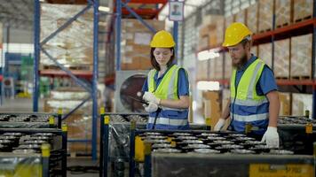 operación trabajadores comprobación y inspeccionando carga para apilar artículos para envío. machos trabajador comprobación el Tienda fábrica. industria fábrica depósito. trabajador exploración paquete en depósito. video