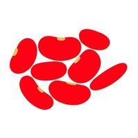 Red beans vector on white background. Nuts which are high in protein are very good for body health.