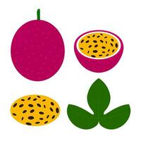 Passion fruit vector illustration. Passion fruit whole and cut into pieces. Ripe red with leaves and seeds. Isolated on white background.