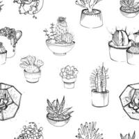 Seamless pattern with various hand drawn succulents and cactus in plant pots. Black and white vector illustration on white background.