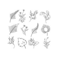 set of floral elements vector design template