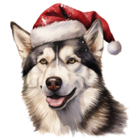 ai generiert sibirisch heiser Hund tragen ein Santa Hut. ai generiert Bild png