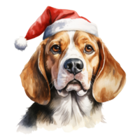 ai genererad beagle hund bär en santa hatt. ai genererad bild png