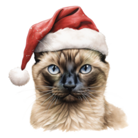 ai generado siamés gato vistiendo un Papa Noel sombrero. ai generado imagen png