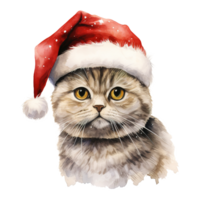 ai genererad skott vika ihop katt bär en santa hatt. ai genererad bild png