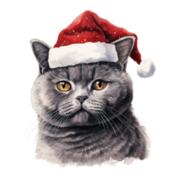 ai generiert britisch kurzes Haar Katze tragen ein Santa Hut. ai generiert Bild png