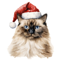 ai genererad ragdoll katt bär en santa hatt. ai genererad bild png