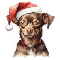 ai gegenereerd chihuahua hond vervelend een de kerstman hoed. ai gegenereerd beeld png