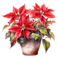 AI generated watercolor of a bunch of red poinsettias. AI generated image png