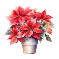 AI generated watercolor of a bunch of red poinsettias. AI generated image png