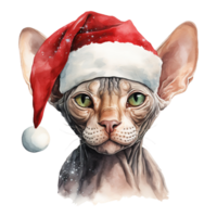 ai generato sphynx gatto indossare un' Santa cappello. ai generato Immagine png