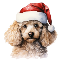 ai genererad pudel hund bär en santa hatt. ai genererad bild png