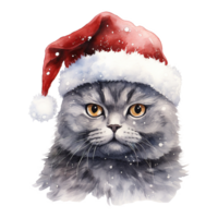 AI generated British Shorthair Cat Wearing a Santa Hat. AI generated image png