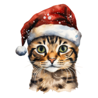 ai genererad bengal katt bär en santa hatt. ai genererad bild png