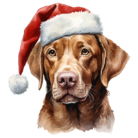 ai gegenereerd labrador retriever hond vervelend een de kerstman hoed. ai gegenereerd beeld png