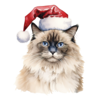 ai generiert Ragdoll Katze tragen ein Santa Hut. ai generiert Bild png
