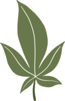 dessin à main levée feuille de cannabis simplicité png