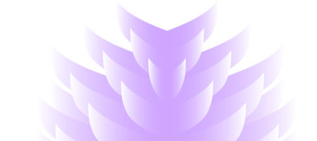 violet lotus fleur la toile bannière pente conception transparent png