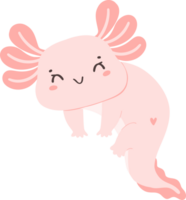 Cute baby Axolotl Mexican walking fish in pink png