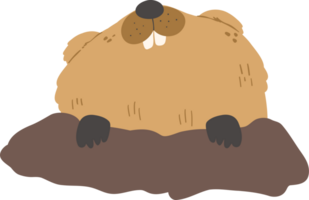 linda marmota ilustración png