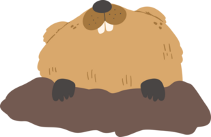 fofa marmota ilustração png