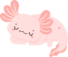 Cute baby Axolotl Mexican walking fish in pink png