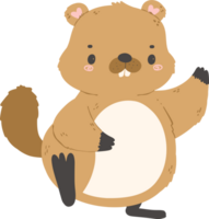 mignonne marmotte illustration png