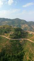 antenne visie van koffie plantage heuvels Aan de ha Giang lus in noorden Vietnam video