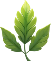 AI generated Leaf illustration visuals, Various leaf shapes stock, Different types of leaves image maple leaf png