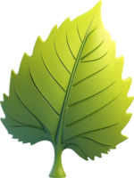 AI generated Leaf illustration visuals, Various leaf shapes stock, Different types of leaves image maple leaf png