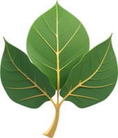 AI generated Leaf illustration visuals, Various leaf shapes stock, Different types of leaves image maple leaf png