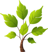 AI generated Leaf illustration visuals, Various leaf shapes stock, Different types of leaves image maple leaf png