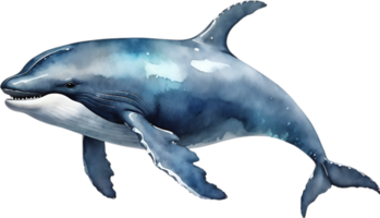 AI generated A whale soaring in the air. Ai-Generated png