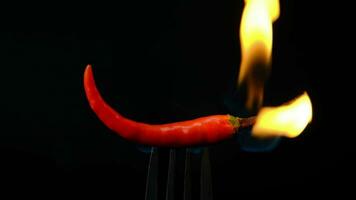 Chili pepper on fork with flames on black background. Burning red chili pepper. Slow motion video