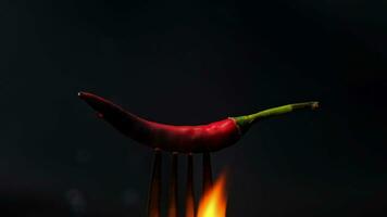 Chili pepper on fork with flames on black background. Burning red chili pepper. Slow motion video